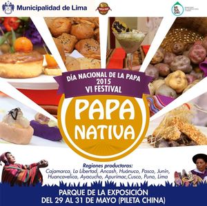 afiche-papanativaVIfestival.jpg